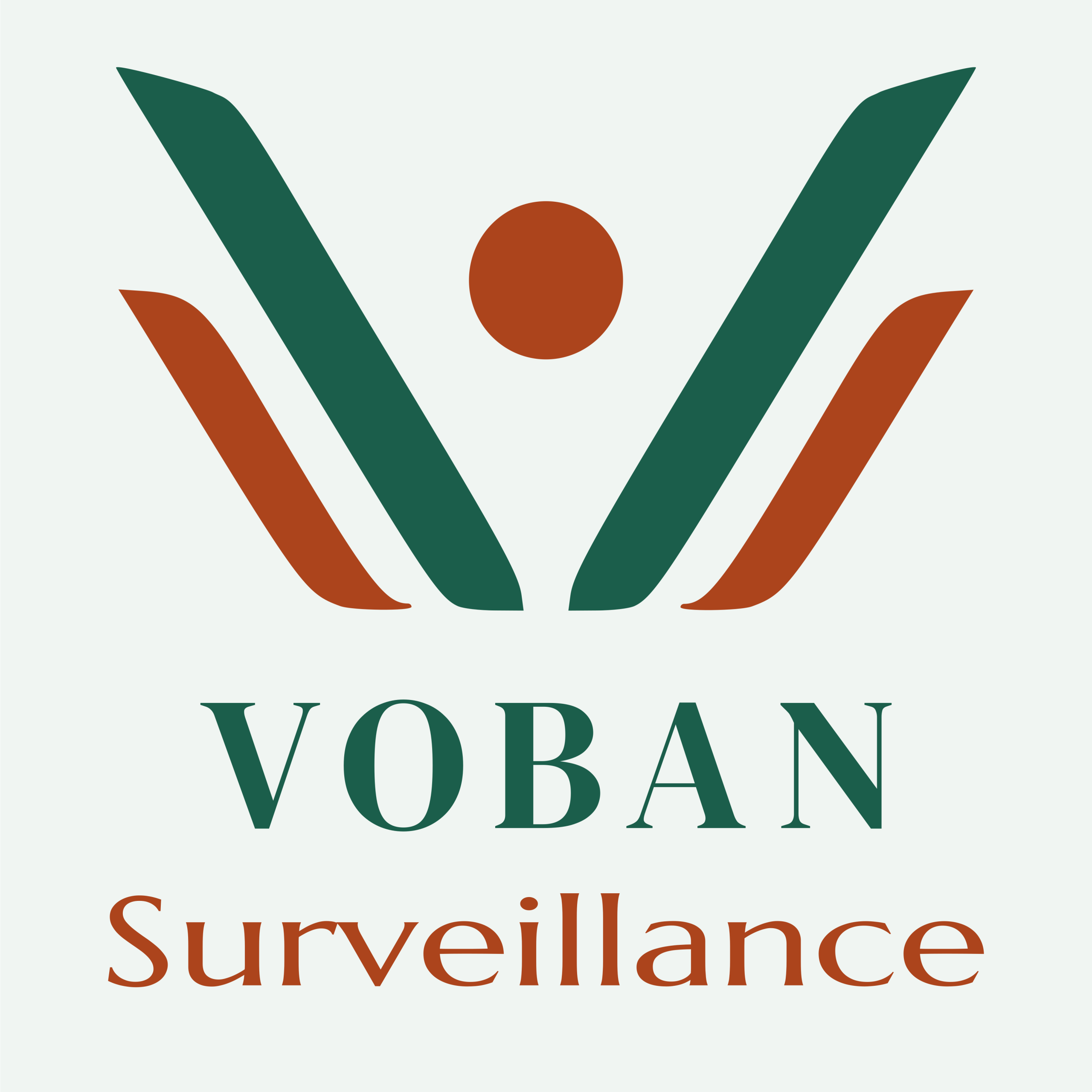 Voban Surveillance, Sécurité Privée